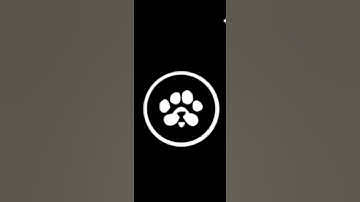 Paws New Mission task || 7000 worth of $Paws 🐾🐾