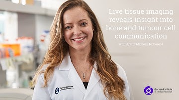 Live tissue imaging reveals insight into bone and tumour cell communication