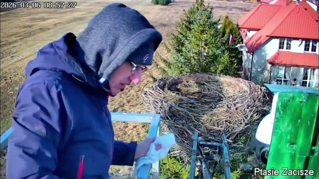 Ptasie Zacisze - prace porządkowe przy gnieździe 🧹🪣😃. 