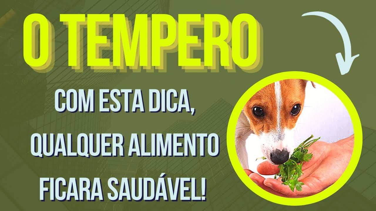 COMO ALIMENTAR UM CACHORRO CORRETAMENTE DE FORMA SAUDÁVEL – TEMPERO FUNDAMENTAL PARA CÃES