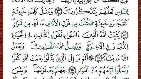ختمة مصحف التجويد برواية قالون الصفحة رقم 259