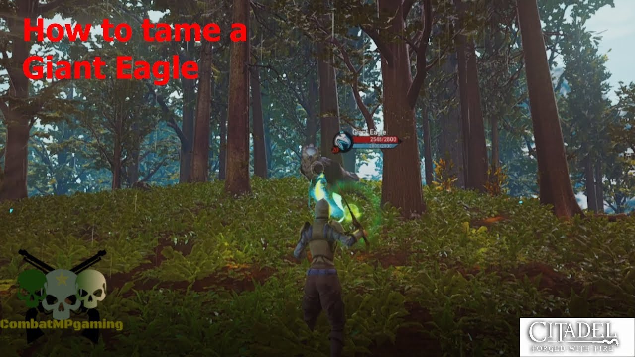 Citadel forged with fire Ep14 -  How to tame a Giant Eagle