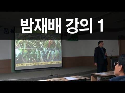 [효원농업기술TV] 고온/가뭄/태풍시 밤나무 모두싹 사용 재배기술 (동계농업설명회)