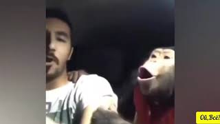 Парень кричит вместе с обезьяной | The guy screams along with the monkey