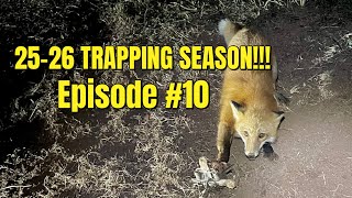 TRAPPING ADJUSTMENTS PAID OFF!!!!