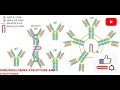 Immunoglobulins basic structure and functions part-1 for GATE BT/DBT JRF/ICMR JRF/CSIR-NET PART-2