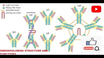 Immunoglobulins basic structure  and functions part-1 for GATE BT/DBT JRF/ICMR JRF/CSIR-NET PART-2