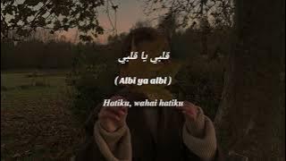 Adzando Davema ~ قلبي يا قلبي (Albi Ya Albi) ~ lirik arab dan terjemahan