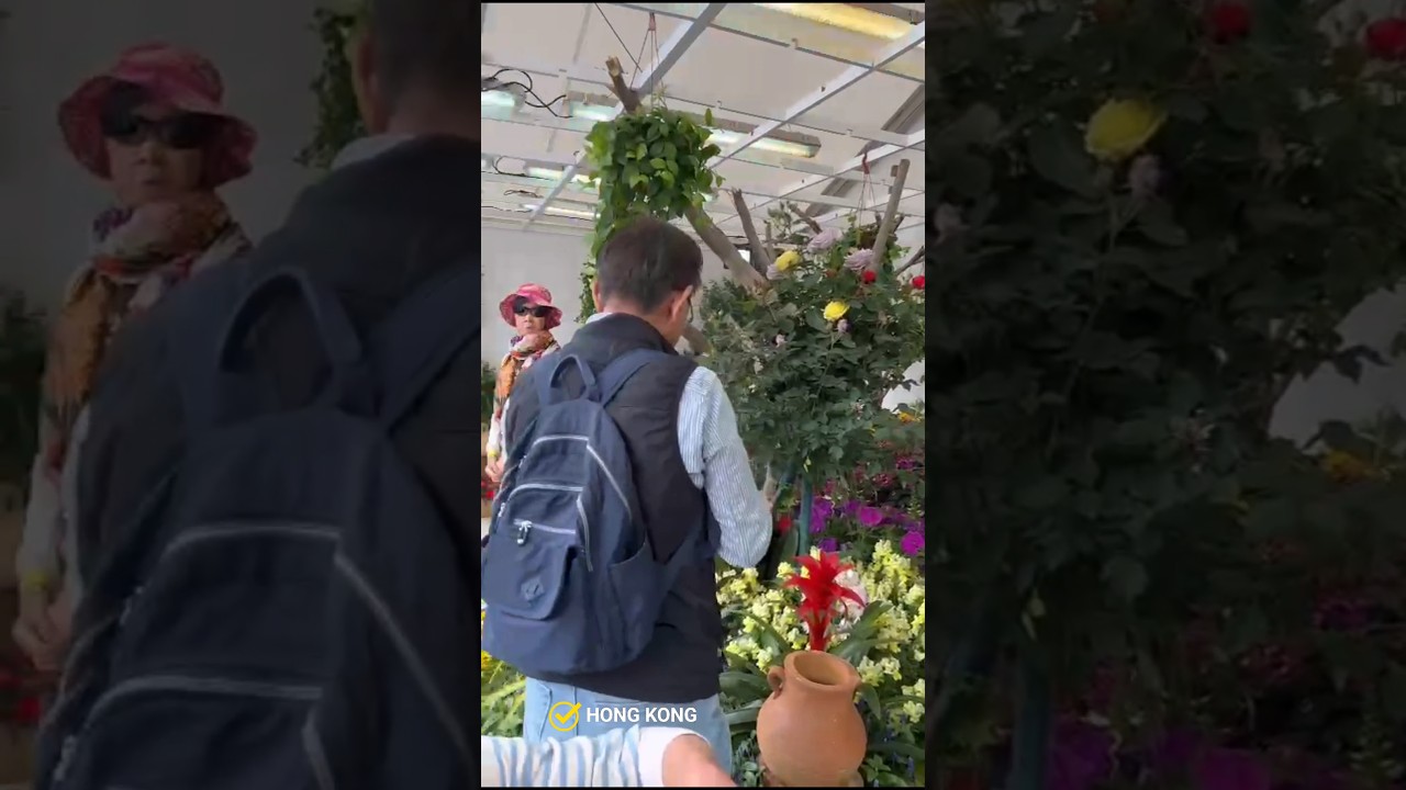 📍Hong kong 4k | First time day of Intl. FLOWER EXHIBITION -Victoria Park 