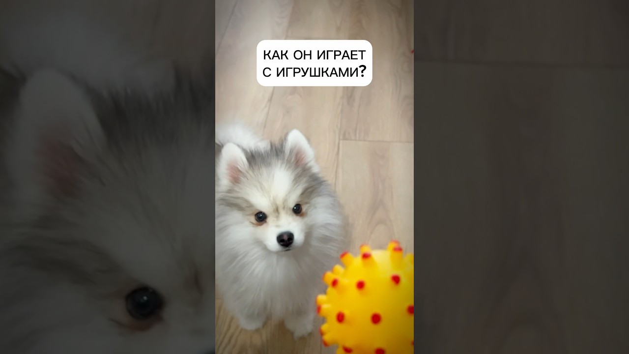 Хороший мальчик! 