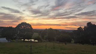 FREESTYLE OCLOCK - Flash Poetry Livestream