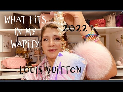 Louis Vuitton Wapity Case – yourvintagelvoe