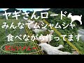 はーーーっ🐐白い雲 青い空 今日もヤギさんムーシャムシャ 今日も一味違うことはありません いつものようにのんびりヤギさん動画になっちゃいました-