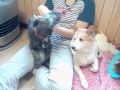 控えめに