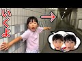 トンネルの向こうでゆー君とゆなちゃんが迷子!?️ここちゃん助けにいくよ・・・・😱【ゆーゆなチャンネルさんと寸劇✨】