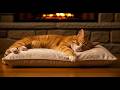 Sleep & Relax Music for Cats 😺 Stress Relief Sounds for Calm Cats 💕