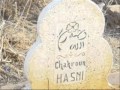علاه نبغيها وتعجبني 