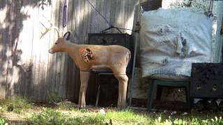 Sony DSC TX7 video test