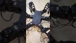 Hexapod v1.5