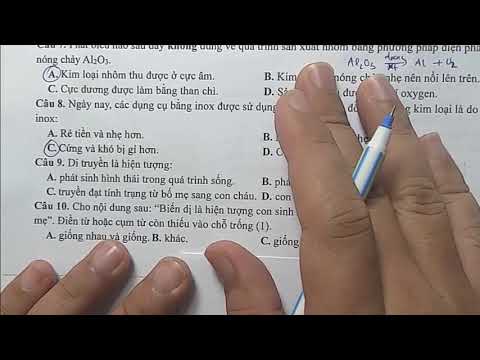 KIỂM TRA GIỮA HỌC KÌ 1 KHOA HỌC TỰ NHIÊN 9 - KNTT -NĂM HỌC 2024 2025 - youtube