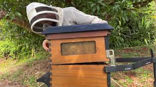 What’s inside a Flow Hive?