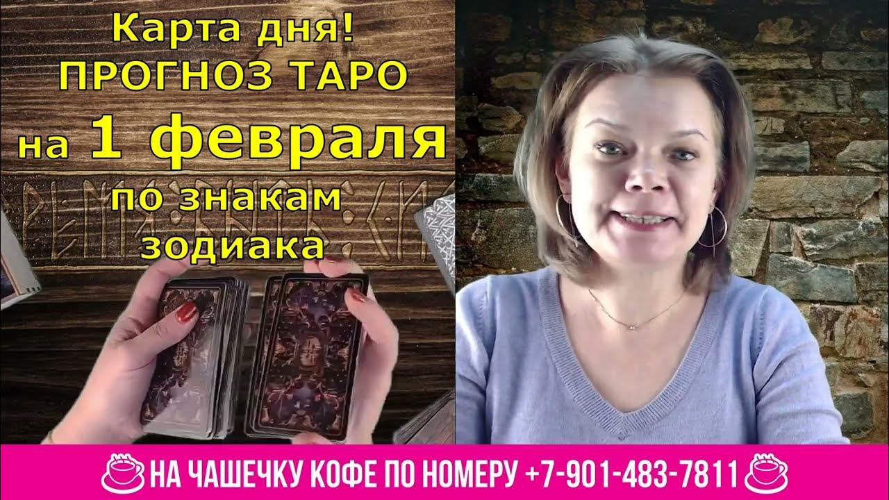 Две девочки двойняшки. Алекс котце. Одежда для двойняшек мальчика и девочку. Близнецы малыши. 1 февраля близнецы.