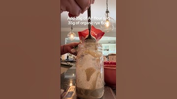 Sourdough Starter Day 4 Progress #sourdoughstarter #sourdough #sourdoughbread