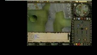 Arios O Mitt Account