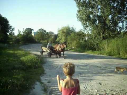 Video: Saggio Fotografico: Splendide Macerie Dell'Ucraina Rurale - Rete Matador