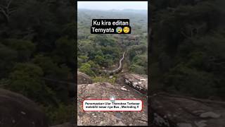 Ular terbesar sepanjan masa #titanoboa #ular #hewanpurba