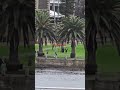 Samsung S24 Ultra zooming #sydney #samsung