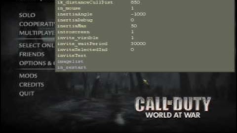 How To Use Cheats On Cod5