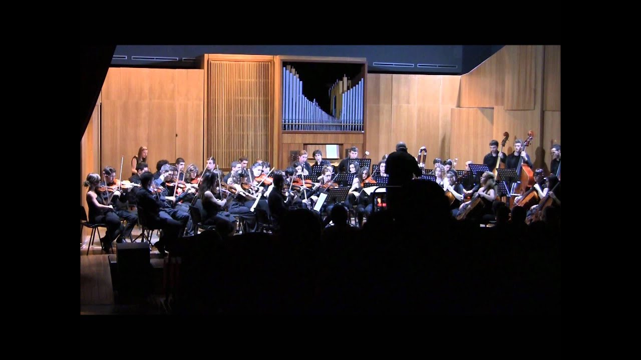 Brahms - Sinfonia n.1 - 1° movimento - Raffaele Napoli