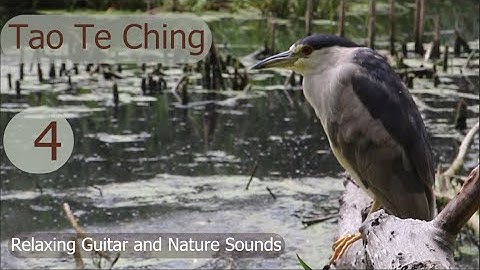 Tao Te Ching - Chapter 4 - With Relaxing Guitar and Nature