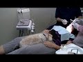 Rescue Dog Making Dentist Appointments Easier On South Bay Patients Rescue Dog Making Dentist Appointments Easier On South Bay Patients