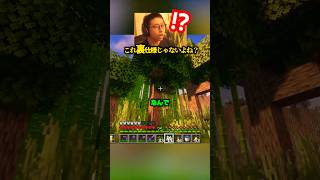 これ、裏仕様じゃないよね?【マイクラ】
