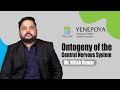Ontogeny of the Central Nervous System | Neuroscience Technology | YSAHS