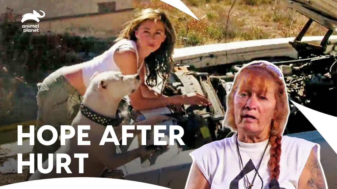 Тиа борется за спасение щенков после смерти их матери-собаки | Питбули и условно-досрочно освобож...