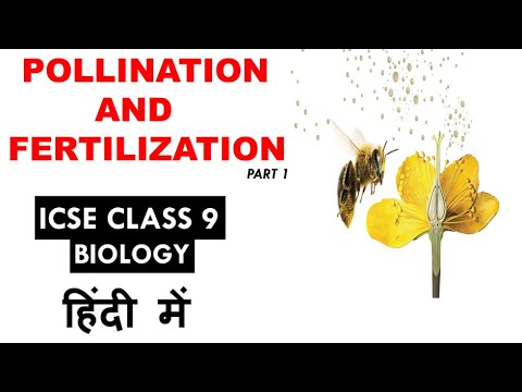 Pollination & Fertilization - ICSE Class 9 Biology(Part 1) - YouTube