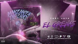 Miniatura del video "Tony Loya - El Greñas (Audio Oficial)"