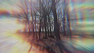 Indigo 132 - Philos [Official Album Visual]