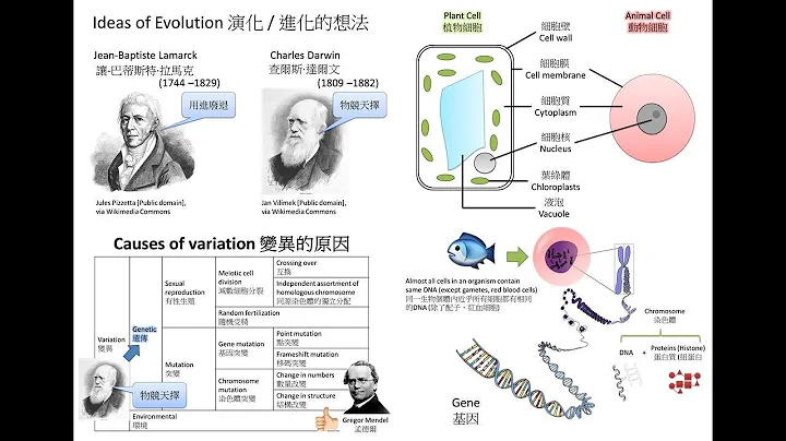 [如何理解课程要求]  Bio 生物多样性 精读班 Biodiversity Intensive - 天天要闻