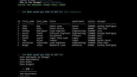 Employee Tracker - with MySQL - Demo