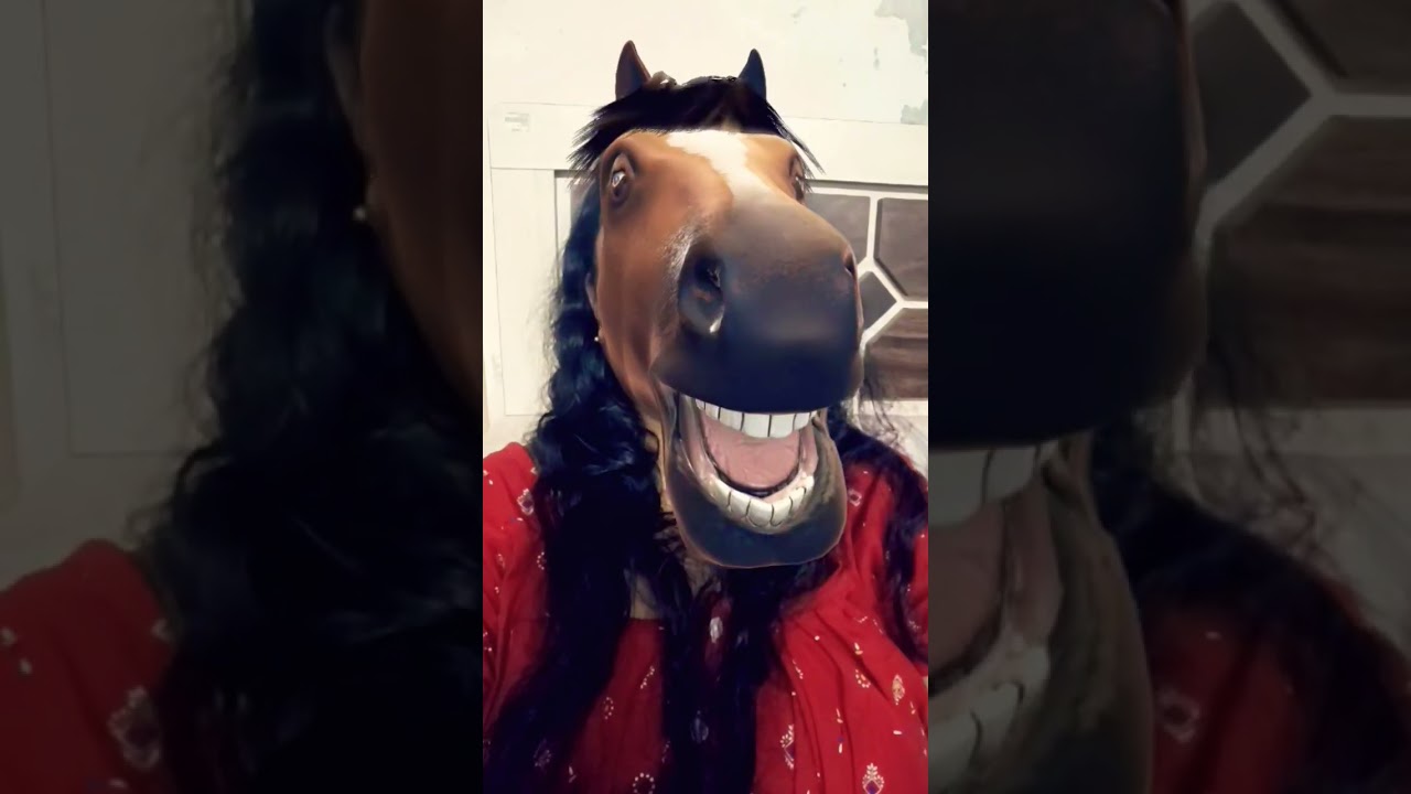 horse face funny video 