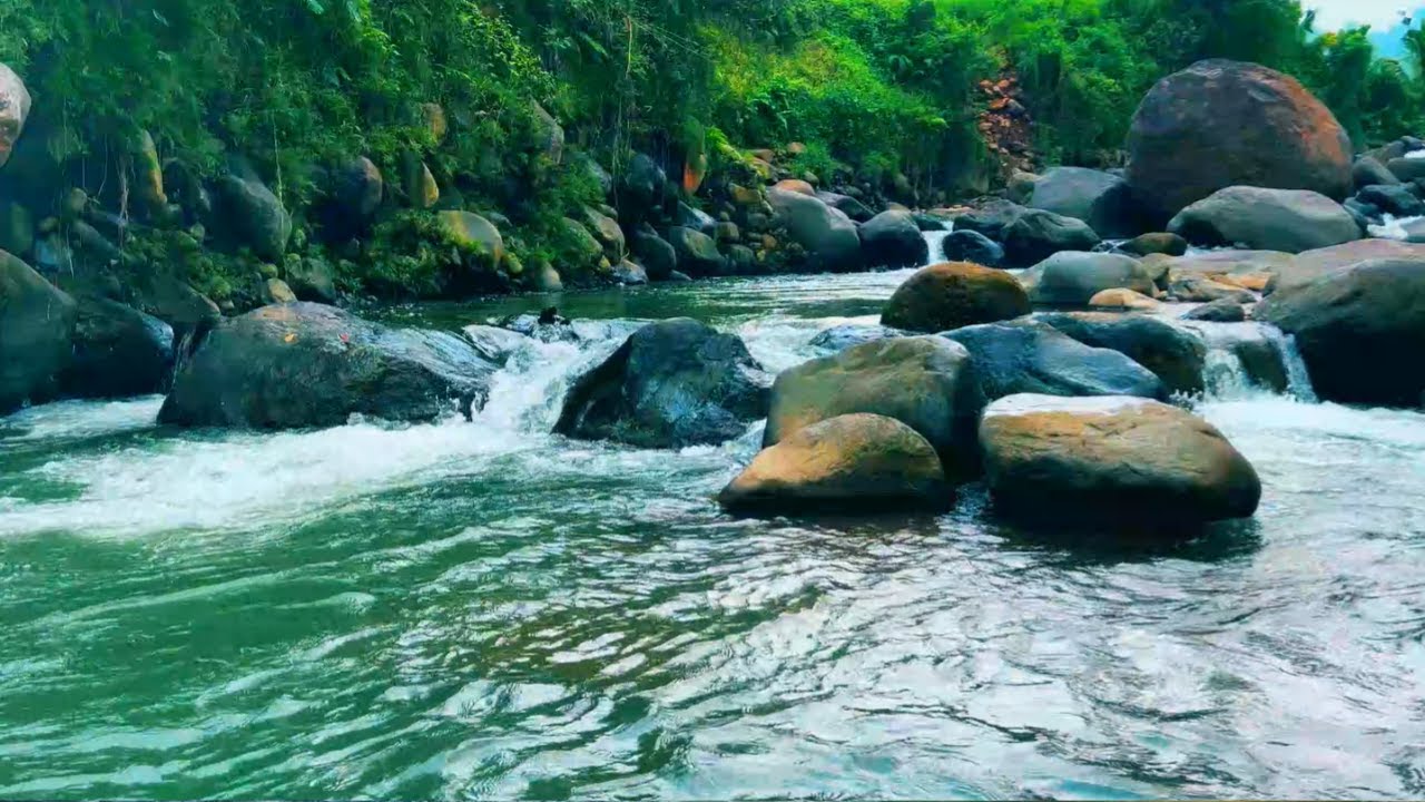 Nature’s Lullaby | Sleep • Relax • Enjoy Life with Gentle Nature Sounds & ASMR Escape