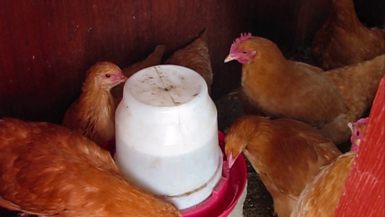 OFF-GRID LIVESTOCK WINTER WATER