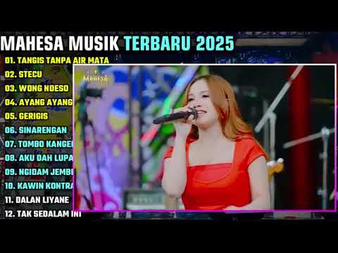 STECU-STECU!! FULL ALBUM MAHESA MUSIK TERBARU 2025