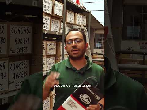 Identificar correa automotriz