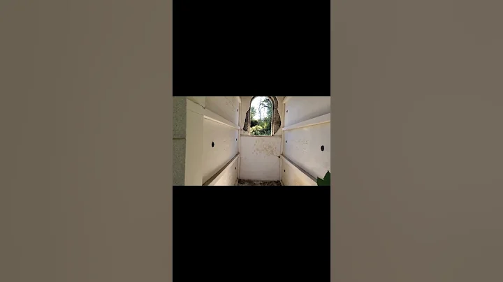over grown crypt