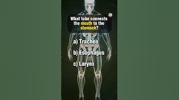Ultimate Anatomy Quiz Part 2. #science #anatomy #anatomyquiz #sciencequiz